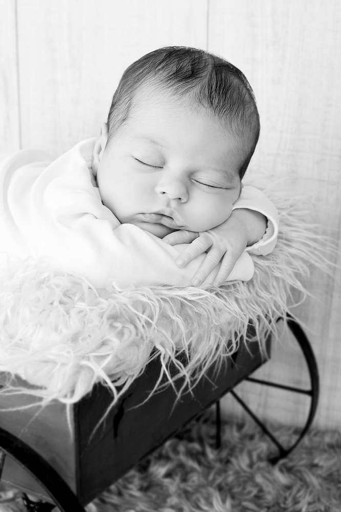 Fotostudio Zander (Fotostudio Zander)