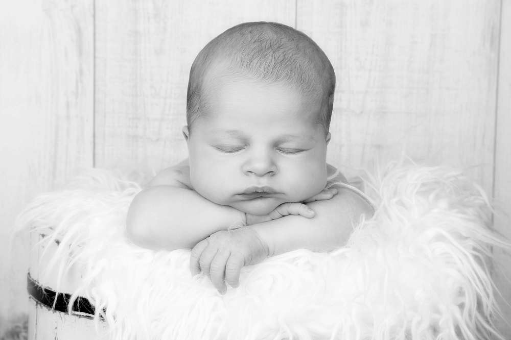 Fotostudio Zander (Fotostudio Zander)