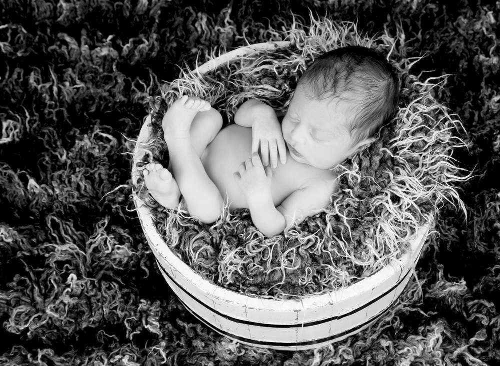 Fotostudio Zander (Fotostudio Zander)