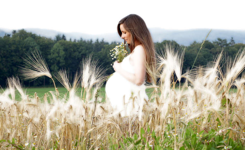 Fotostudio Zander (Fotostudio Zander)