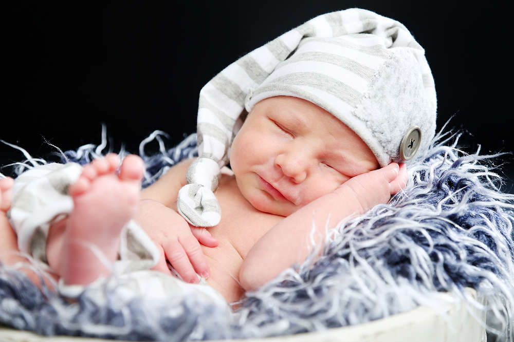 Fotostudio Zander (Fotostudio Zander)