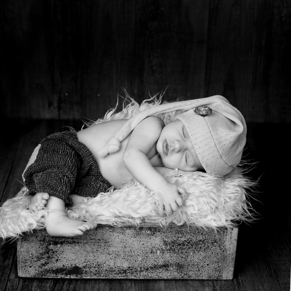 Fotostudio Zander (Fotostudio Zander)