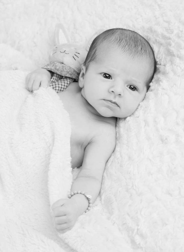 Fotostudio Zander (Fotostudio Zander)