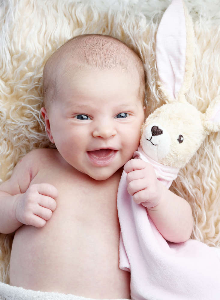 Fotostudio Zander (Fotostudio Zander)