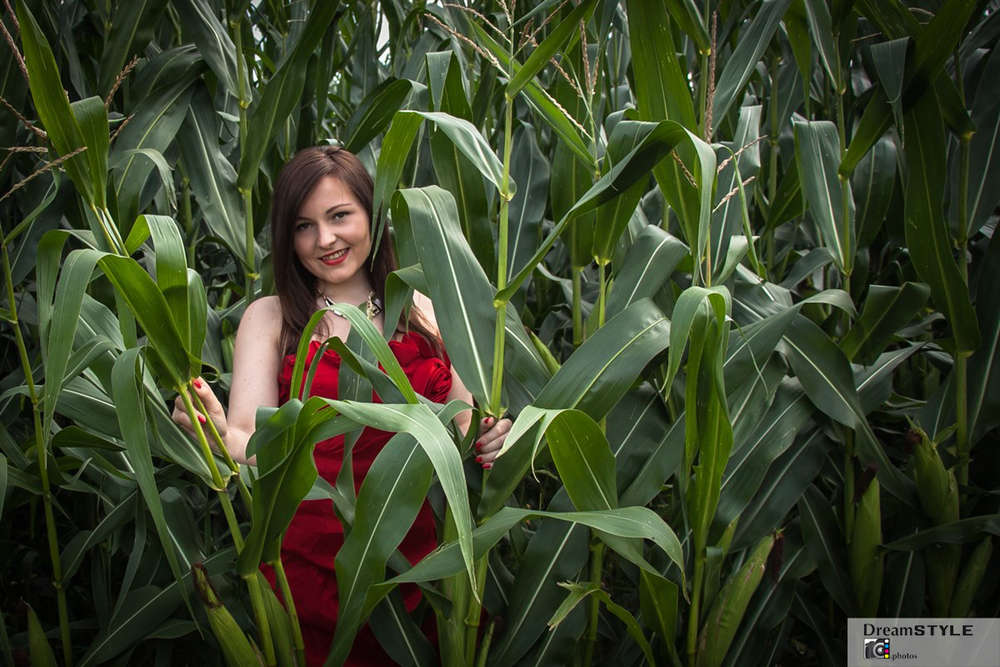 Dreamstyle.photos (Dreamstyle.photos)