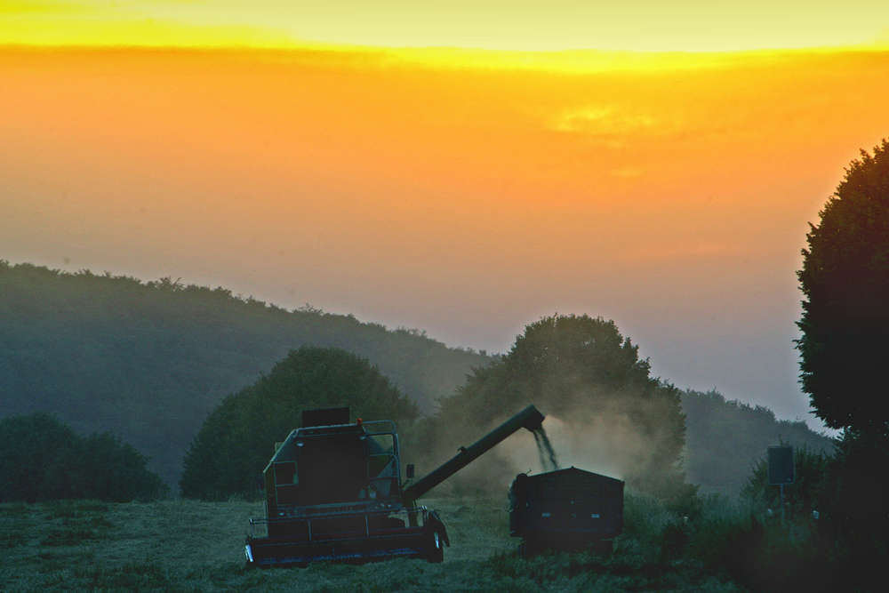 Foto-Design (Foto-Design)