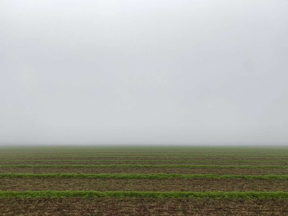 Fotografie Josh Schlasius