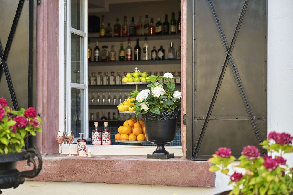 Fotografie Josh Schlasius (Fotografie Josh Schlasius)