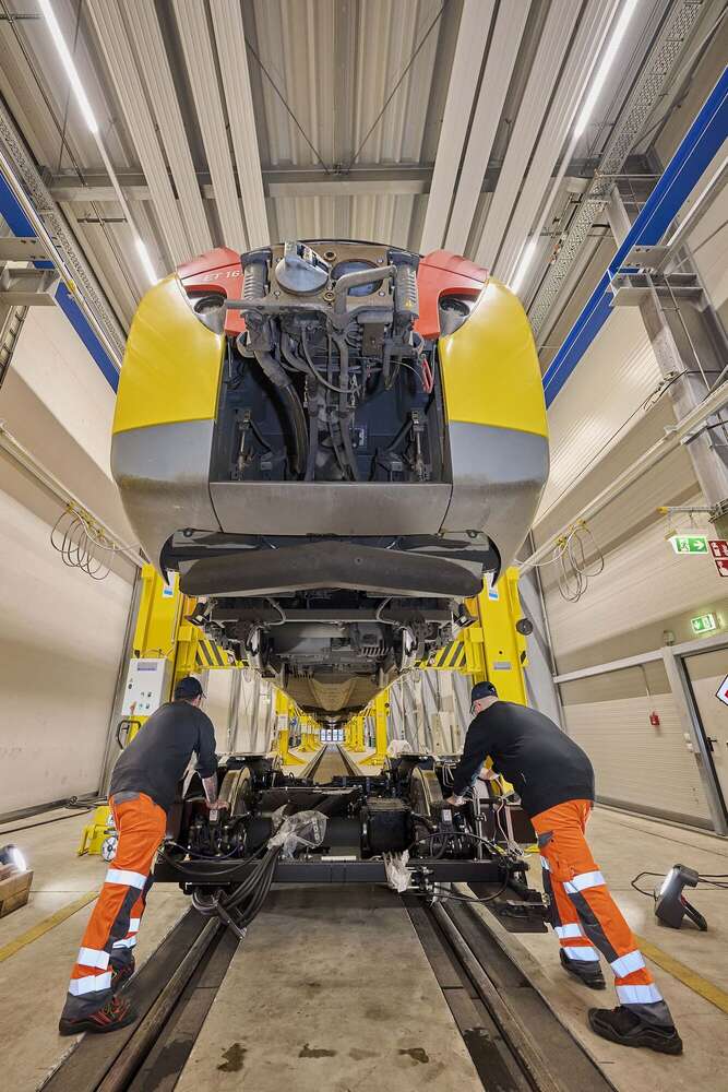 Fotografie Josh Schlasius