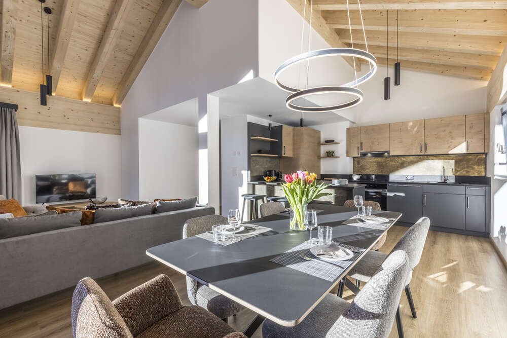 Bildtechnik Spiegelhalter