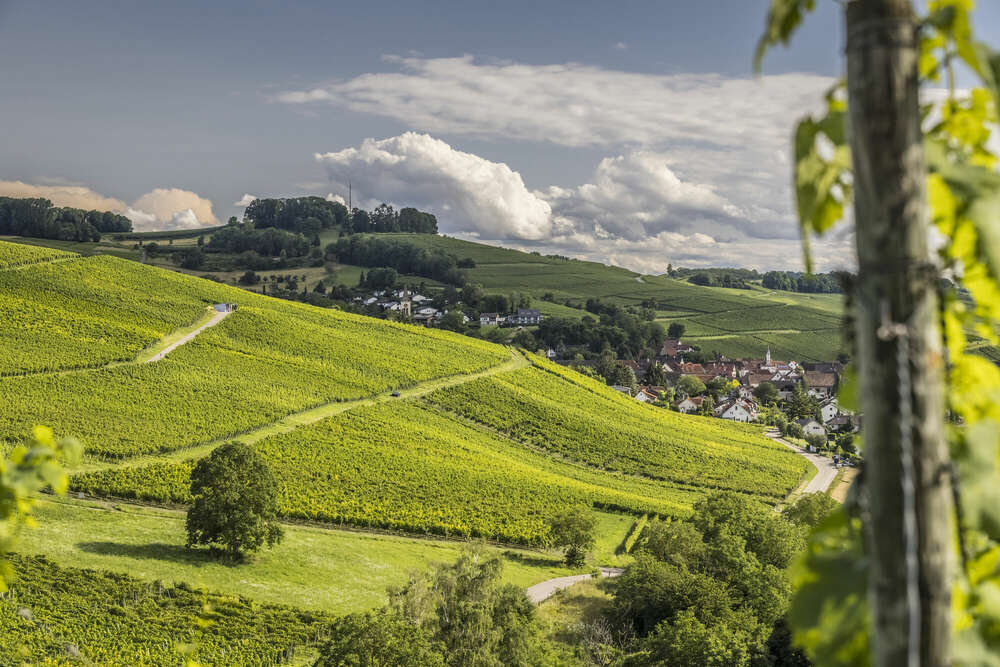 Bildtechnik Spiegelhalter