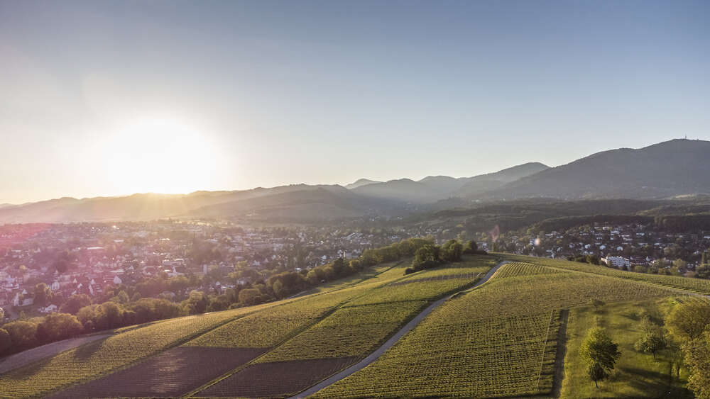 Bildtechnik Spiegelhalter
