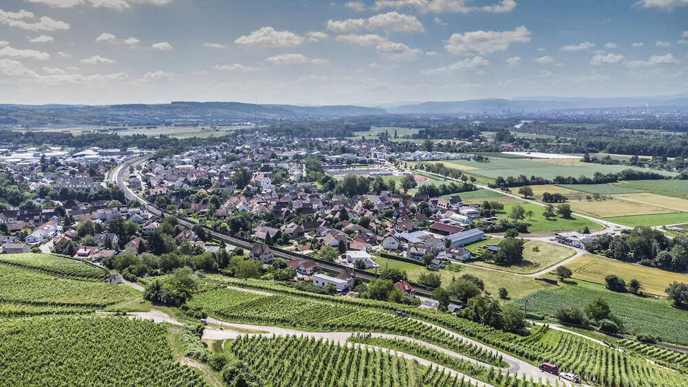 Bildtechnik Spiegelhalter