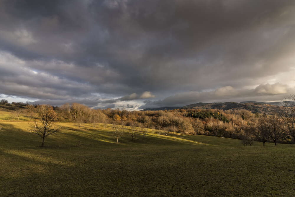 Bildtechnik Spiegelhalter