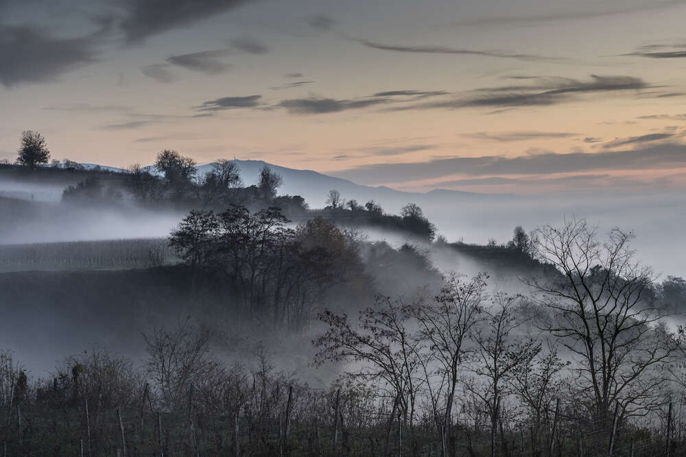 Bildtechnik Spiegelhalter