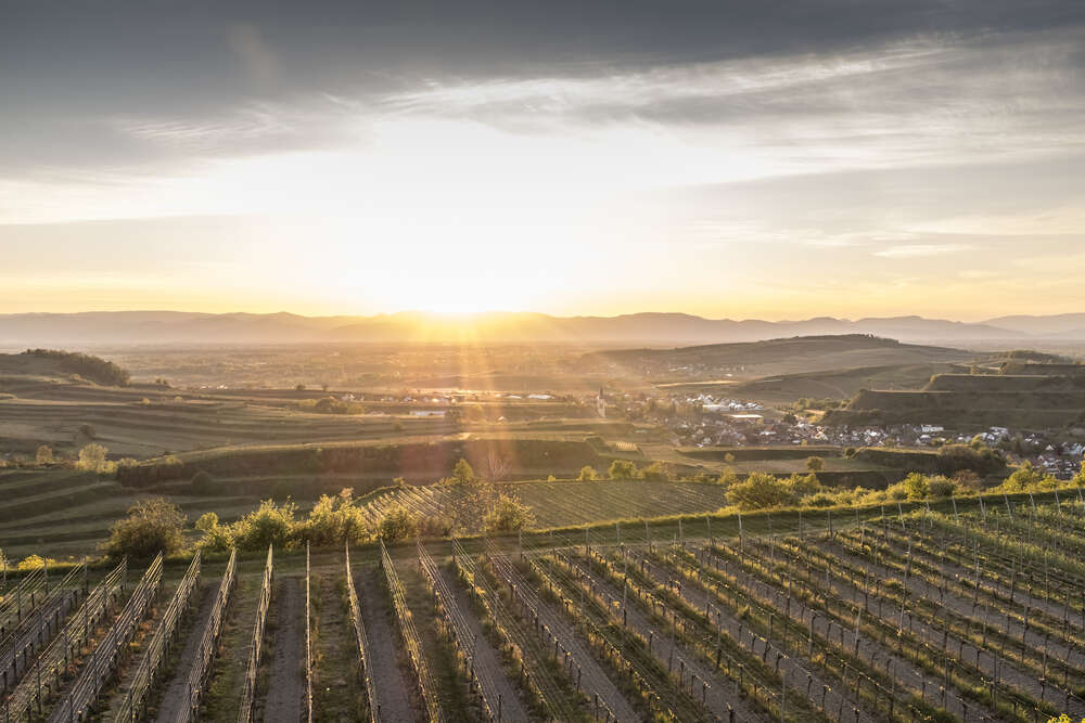 Bildtechnik Spiegelhalter
