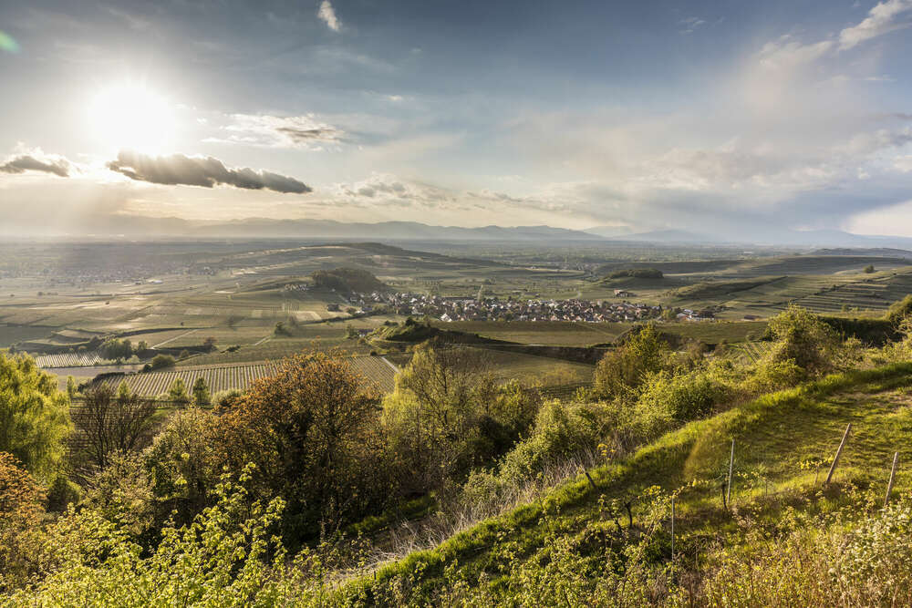 Bildtechnik Spiegelhalter