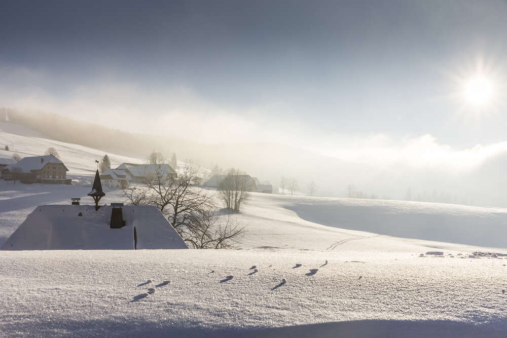 Bildtechnik Spiegelhalter