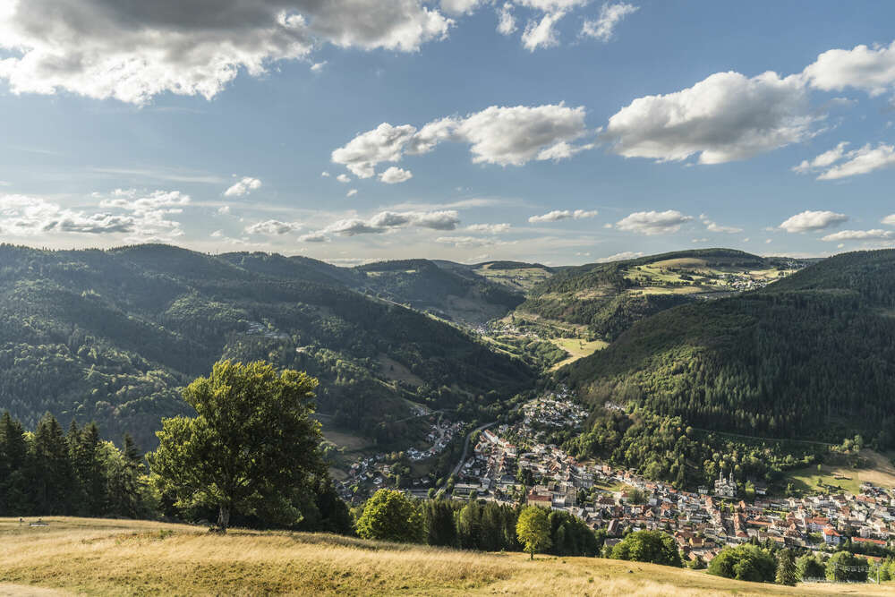 Bildtechnik Spiegelhalter