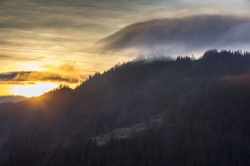 Bildtechnik Spiegelhalter