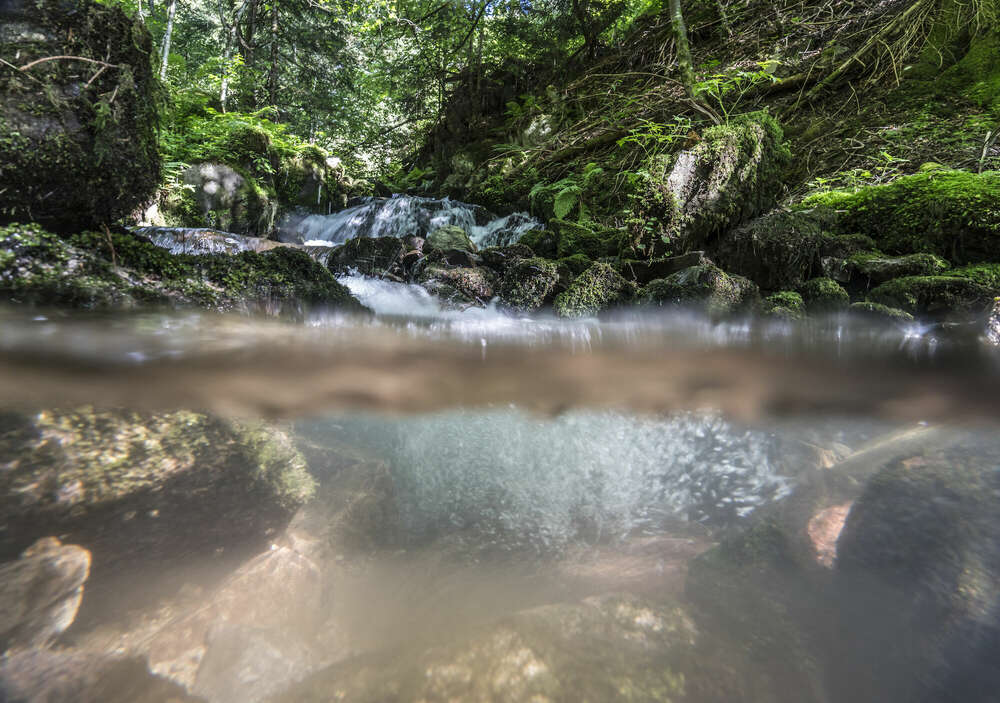 Bildtechnik Spiegelhalter