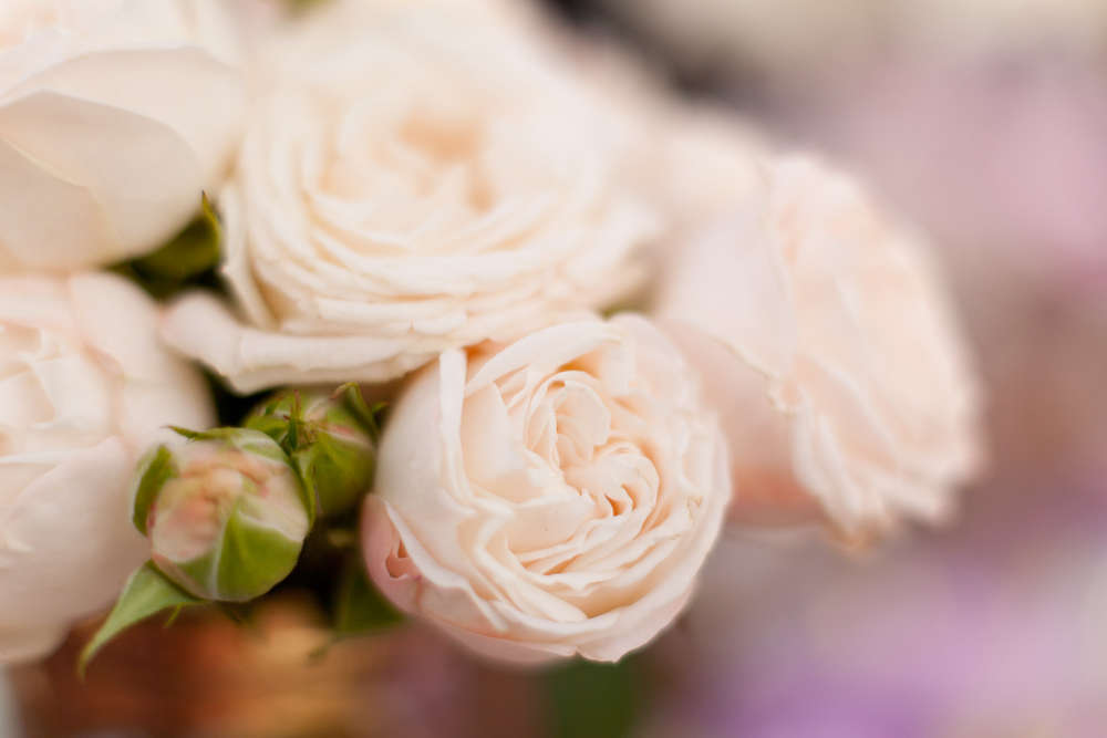 Karsten Socher Fotografie