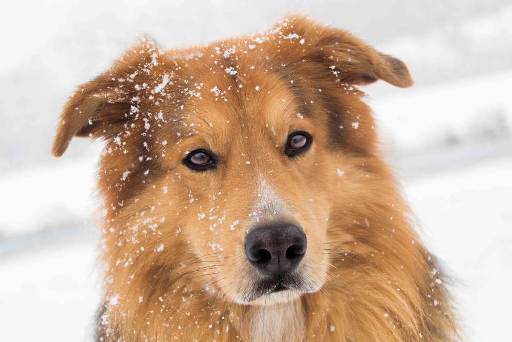 Photodesign by Bianca (Photodesign by Bianca)