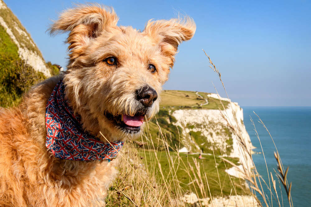 SPUTNIKeins fotografie (SPUTNIKeins fotografie)