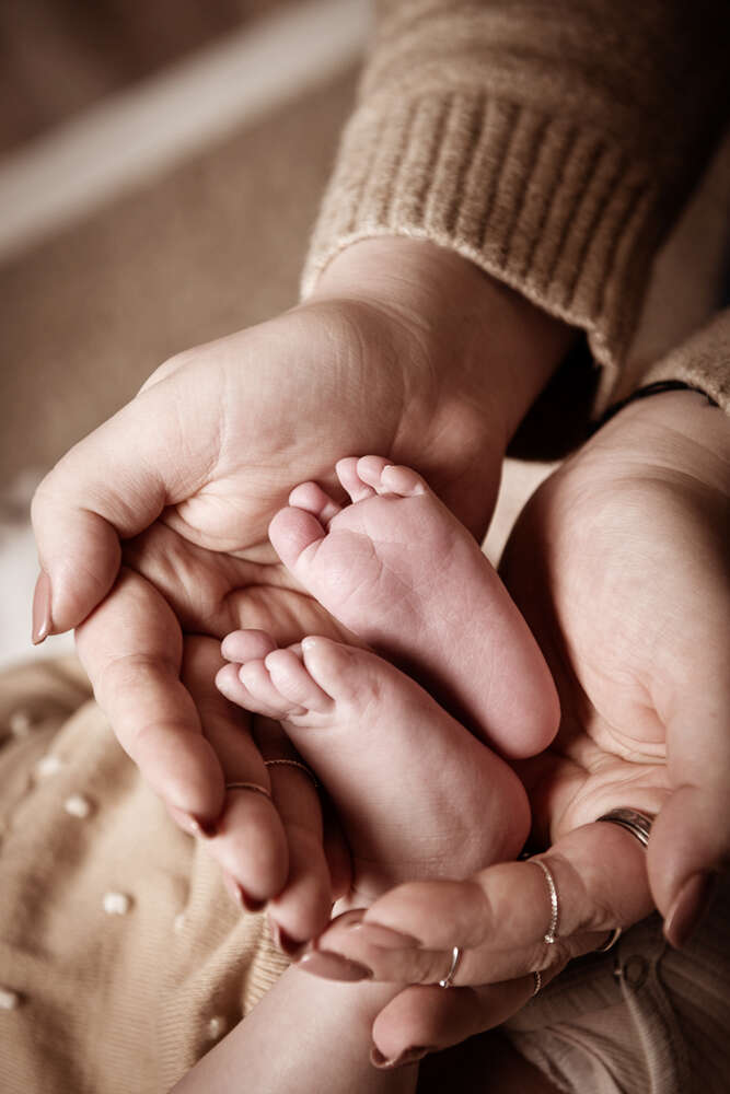 Fotostudio Bilderprofi (Fotostudio Bilderprofi)