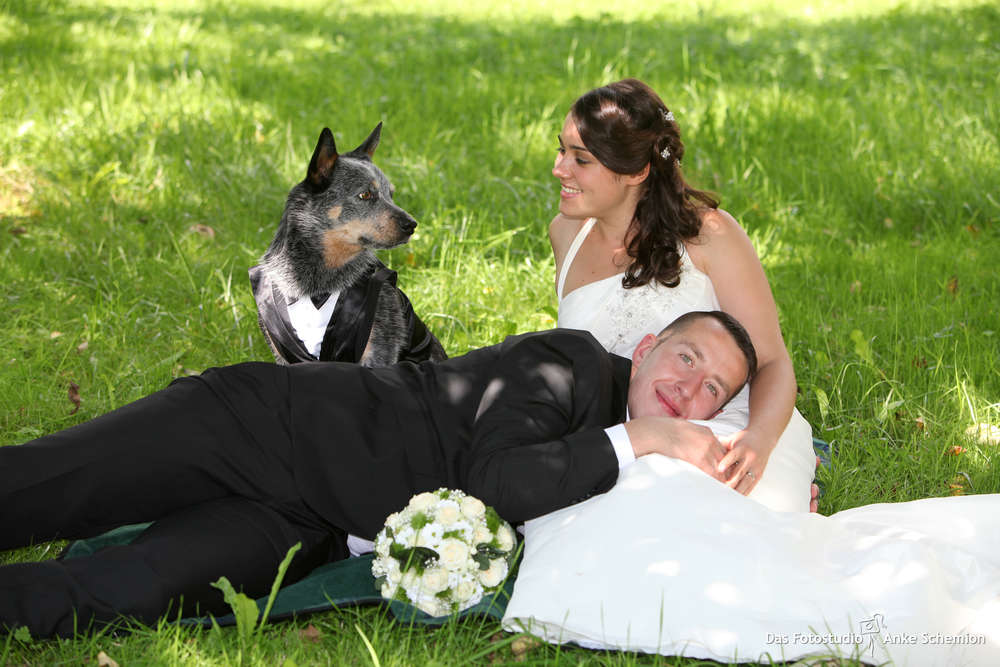 Hochzeitsportraits (Das Fotostudio Anke Schemion)