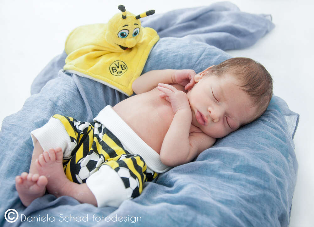 Daniela Schad fotodesign (Daniela Schad fotodesign)