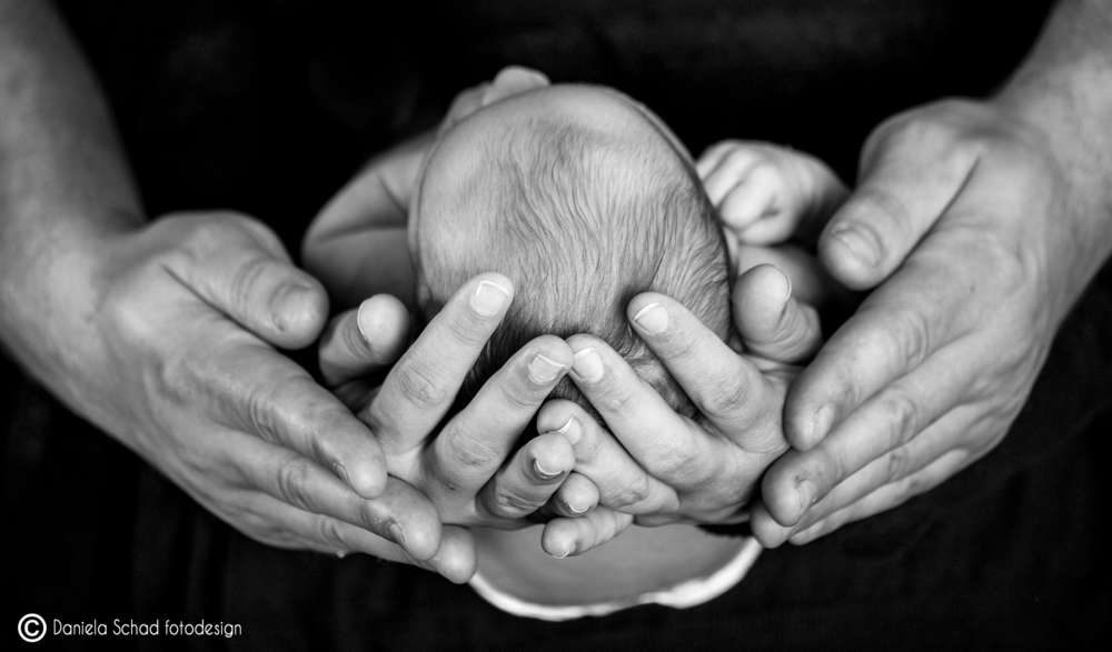 Daniela Schad fotodesign (Daniela Schad fotodesign)