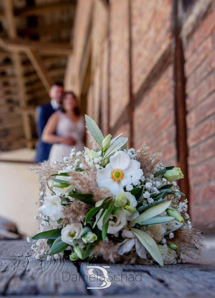 Daniela Schad fotodesign (Daniela Schad fotodesign)