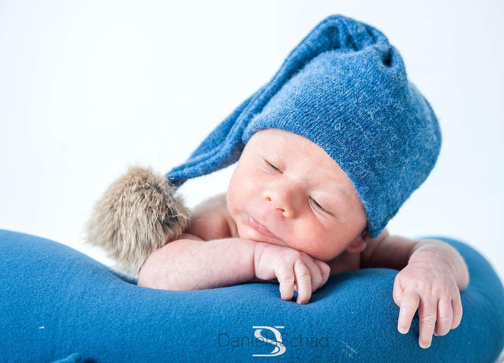 Daniela Schad fotodesign (Daniela Schad fotodesign)