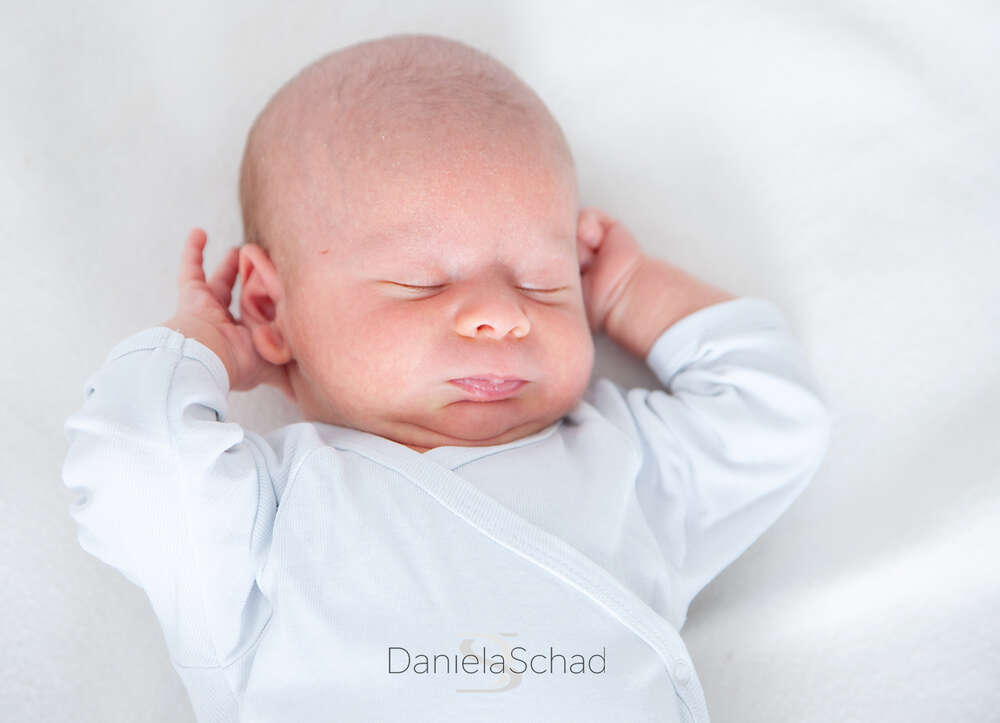 Daniela Schad fotodesign (Daniela Schad fotodesign)