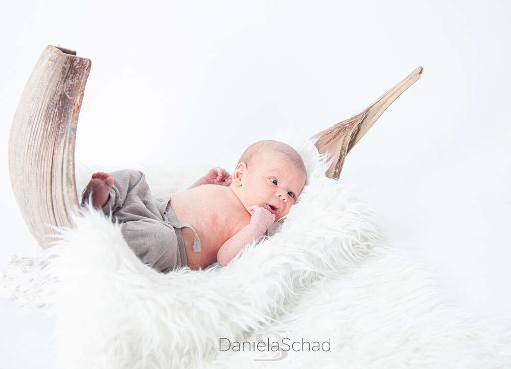 Daniela Schad fotodesign (Daniela Schad fotodesign)