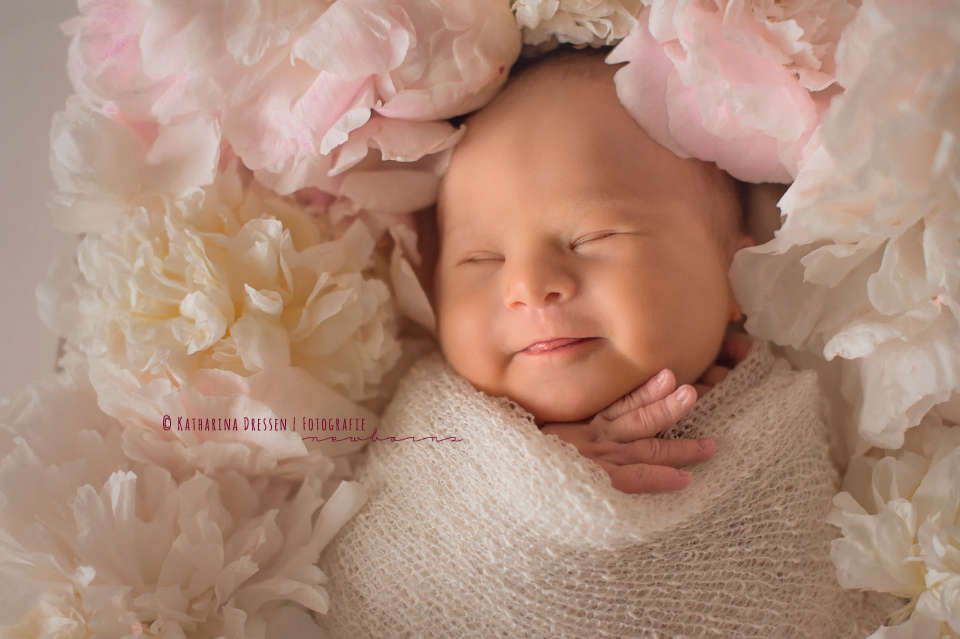 Katharina Dressen - Fotografie (Katharina Dressen - Fotografie)