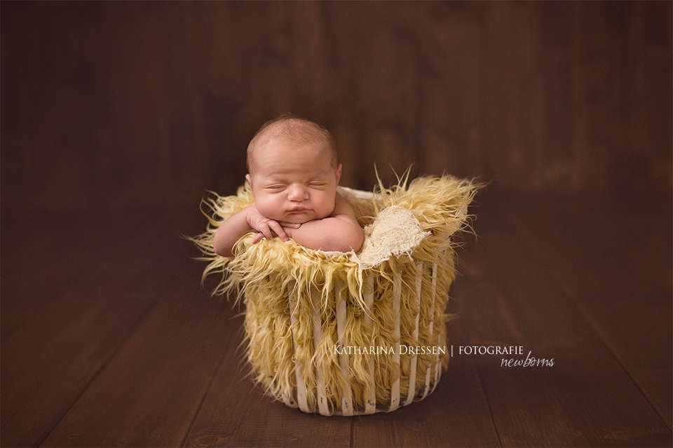 Katharina Dressen - Fotografie (Katharina Dressen - Fotografie)