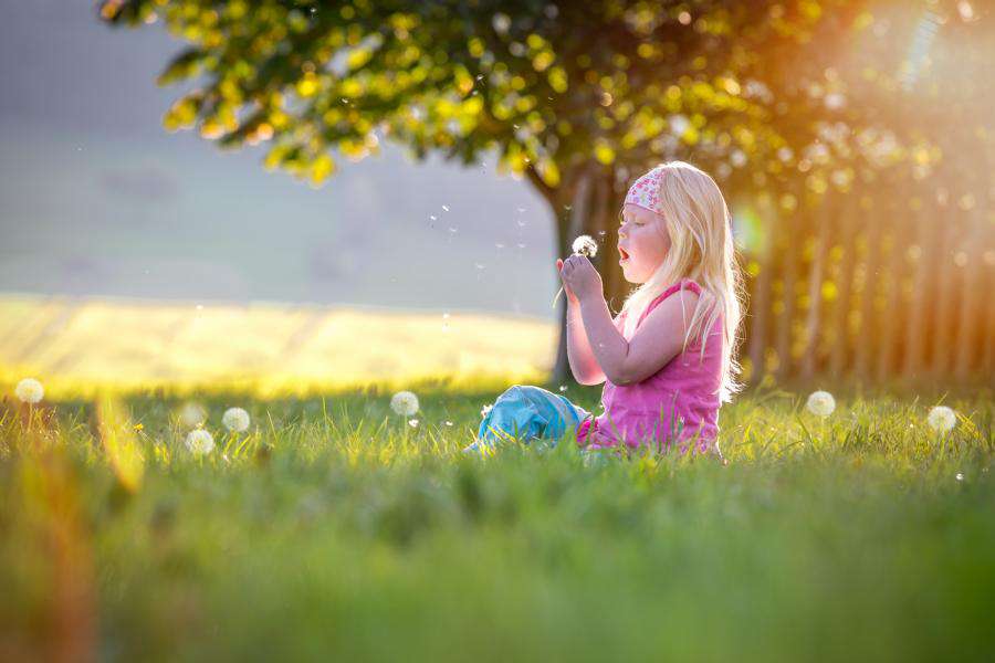 SinnBilder Fotografie Eva-Maria Schmidt (SinnBilder Fotografie Eva-Maria Schmidt)