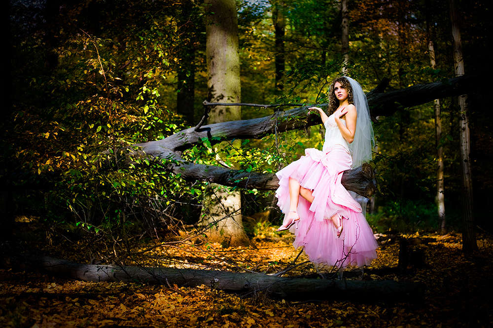 Torkunov Studios (Torkunov Studios)