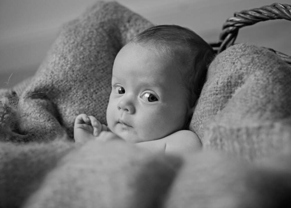 Fotoatelier Iris Jensen (Fotoatelier Iris Jensen)