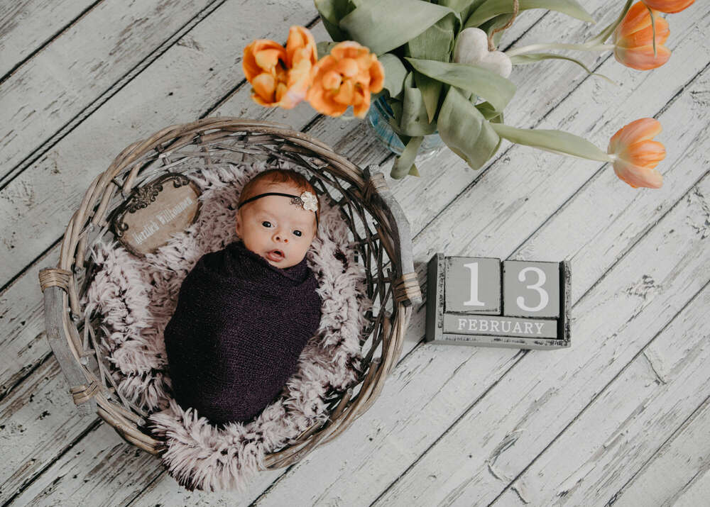 Fotoatelier Iris Jensen (Fotoatelier Iris Jensen)