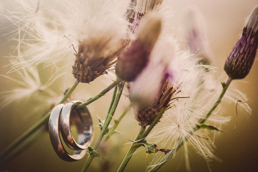 Manuel Gutjahr Hochzeitsfotograf (Manuel Gutjahr Hochzeitsfotograf)