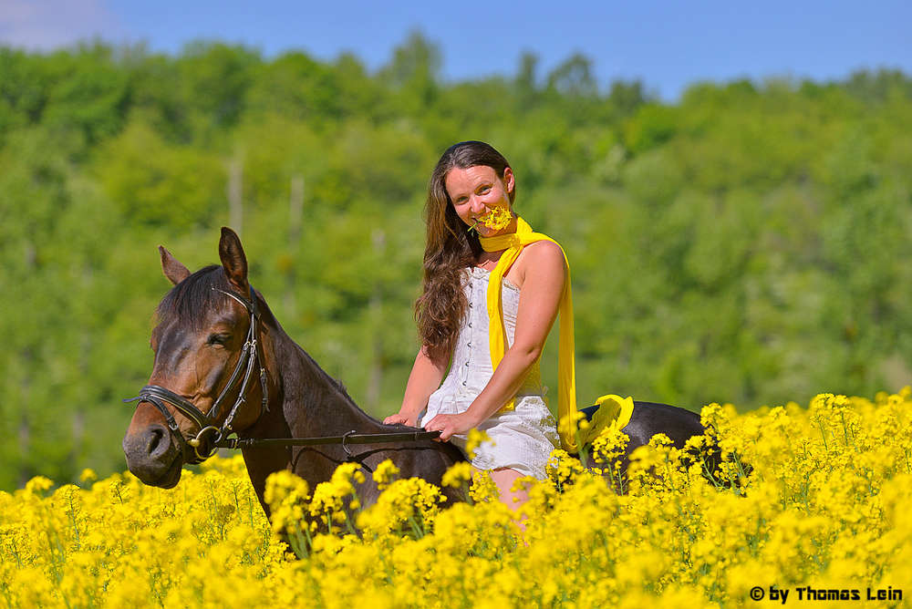 Pferde (Fotograf-Thomas-Lein)