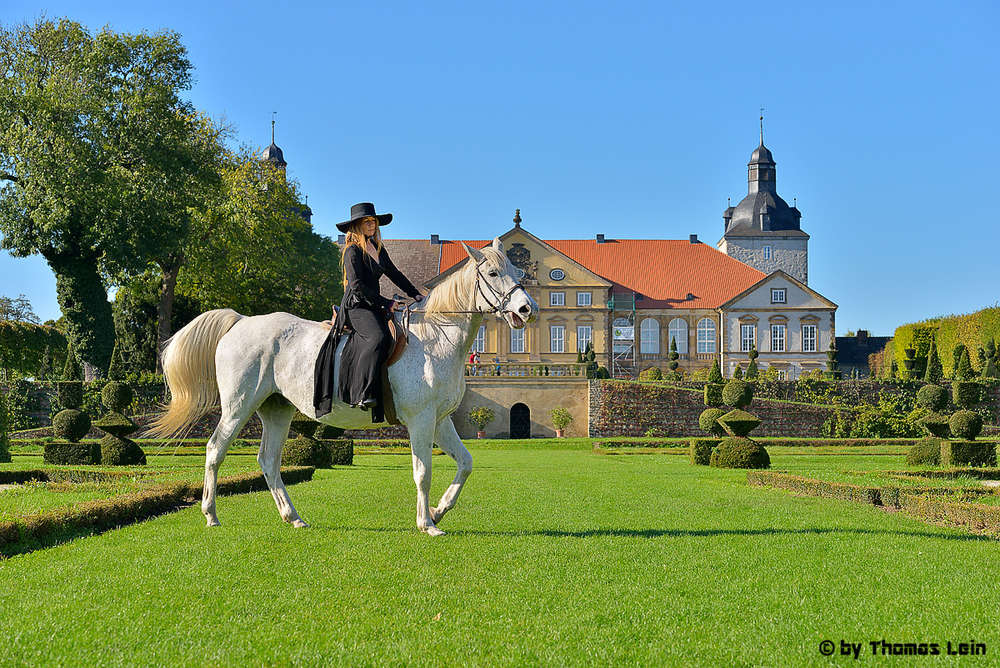 Pferde (Fotograf-Thomas-Lein)