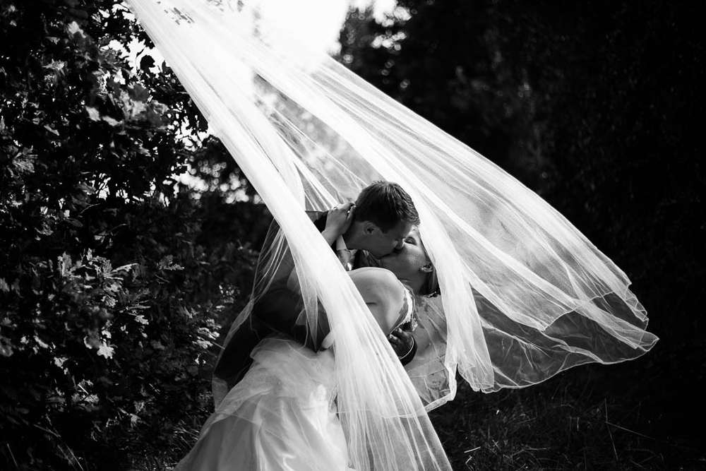 wedding (Miss Sophie)