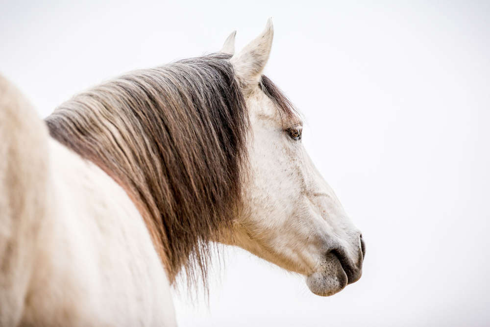 look (Fotokünstlerin)