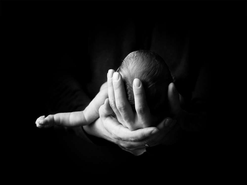 ifo-Fotografie (ifo-Fotografie)