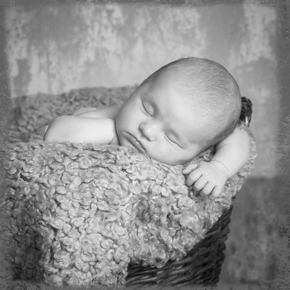 ifo-Fotografie (ifo-Fotografie)