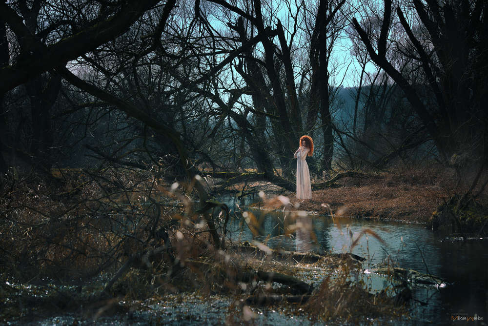 Mike Weis PHOTODESIGN